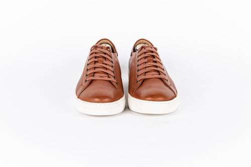 Alder (Perforated) Sneaker